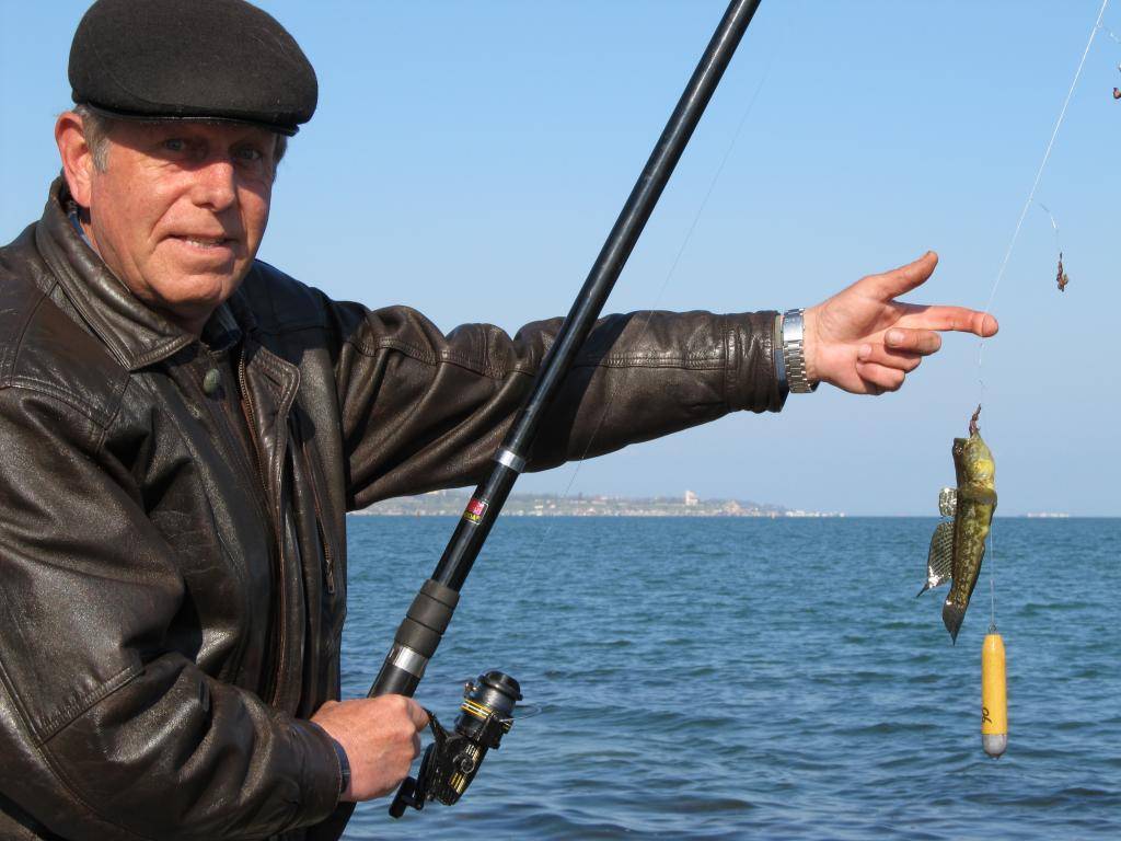 Рыбалка в геленджике - в море или с берега, стоимость, отзывы туристов