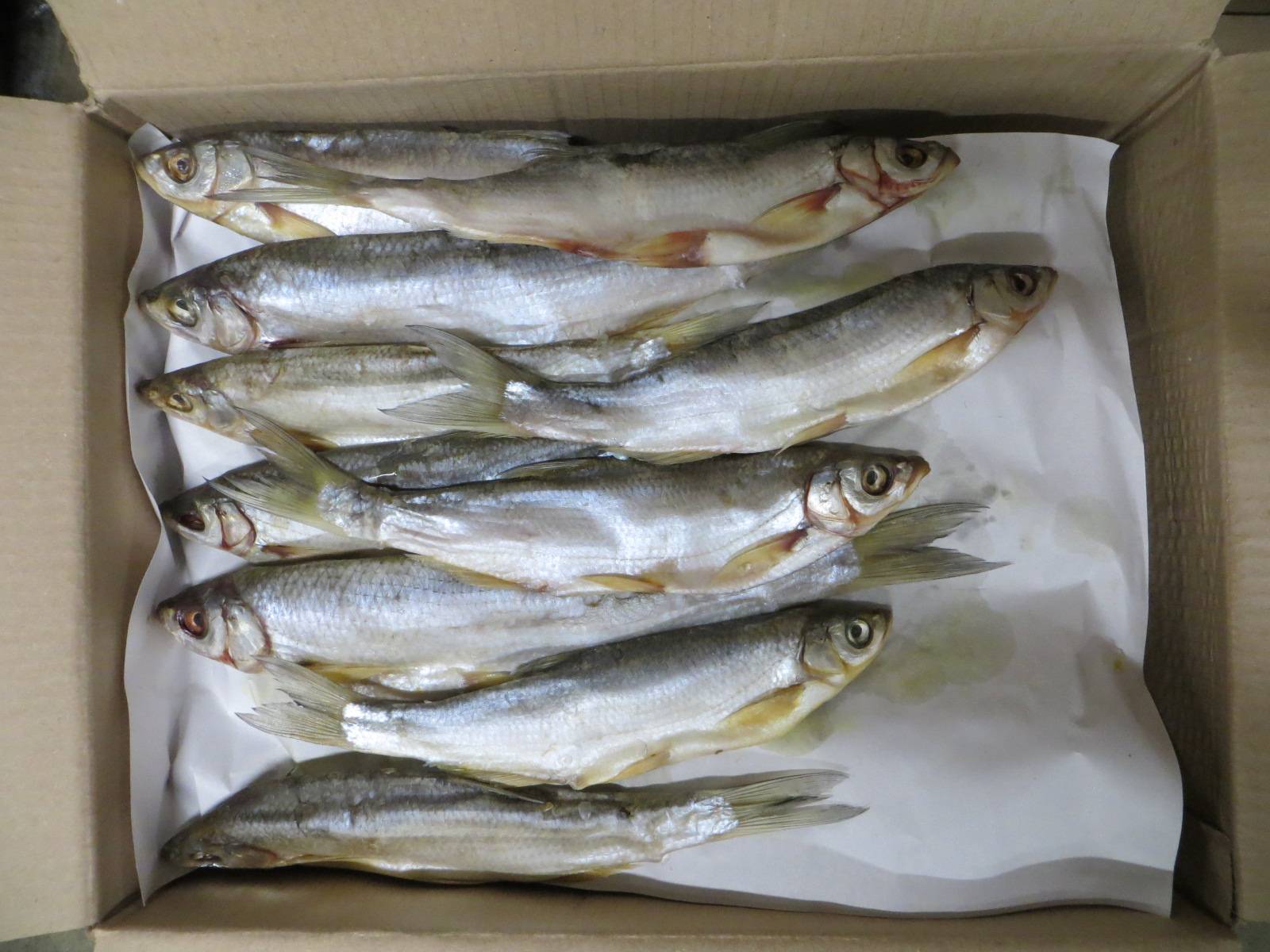 Вяленая рыба – рецепты, как вялить рыбу в духовке или на морозе и хранить в домашних условиях