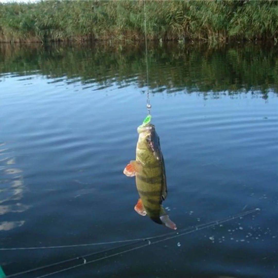 Рыбалка в гродненской области: отзывы :: syl.ru