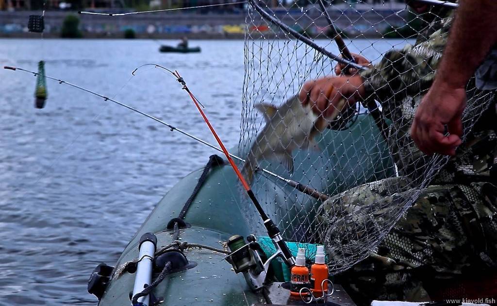 Ловля рыбы троллингом для начинающих (приманки, техника и тактика, особеннности водоемов) | lovitut.ru (рыбалка и бильярд) | яндекс дзен
