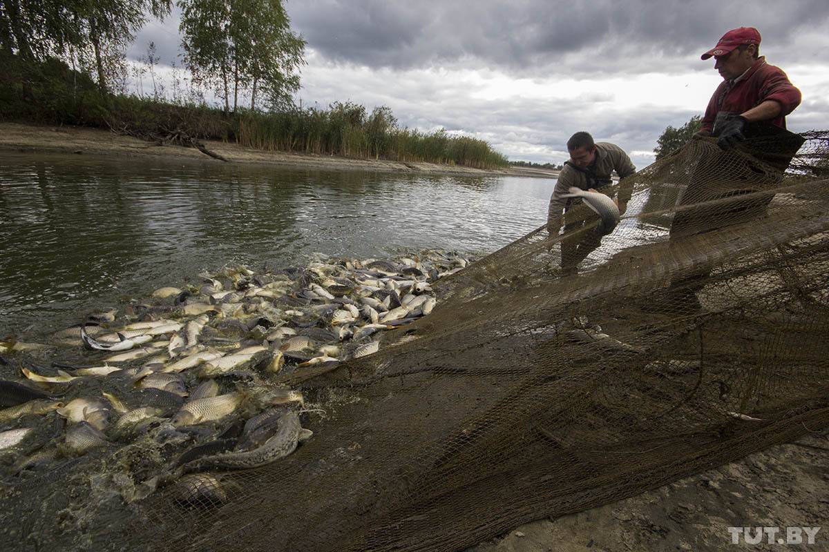 Отличный улов на малых реках: перспектива ловли рыбы на небольших лесных и таёжных речках