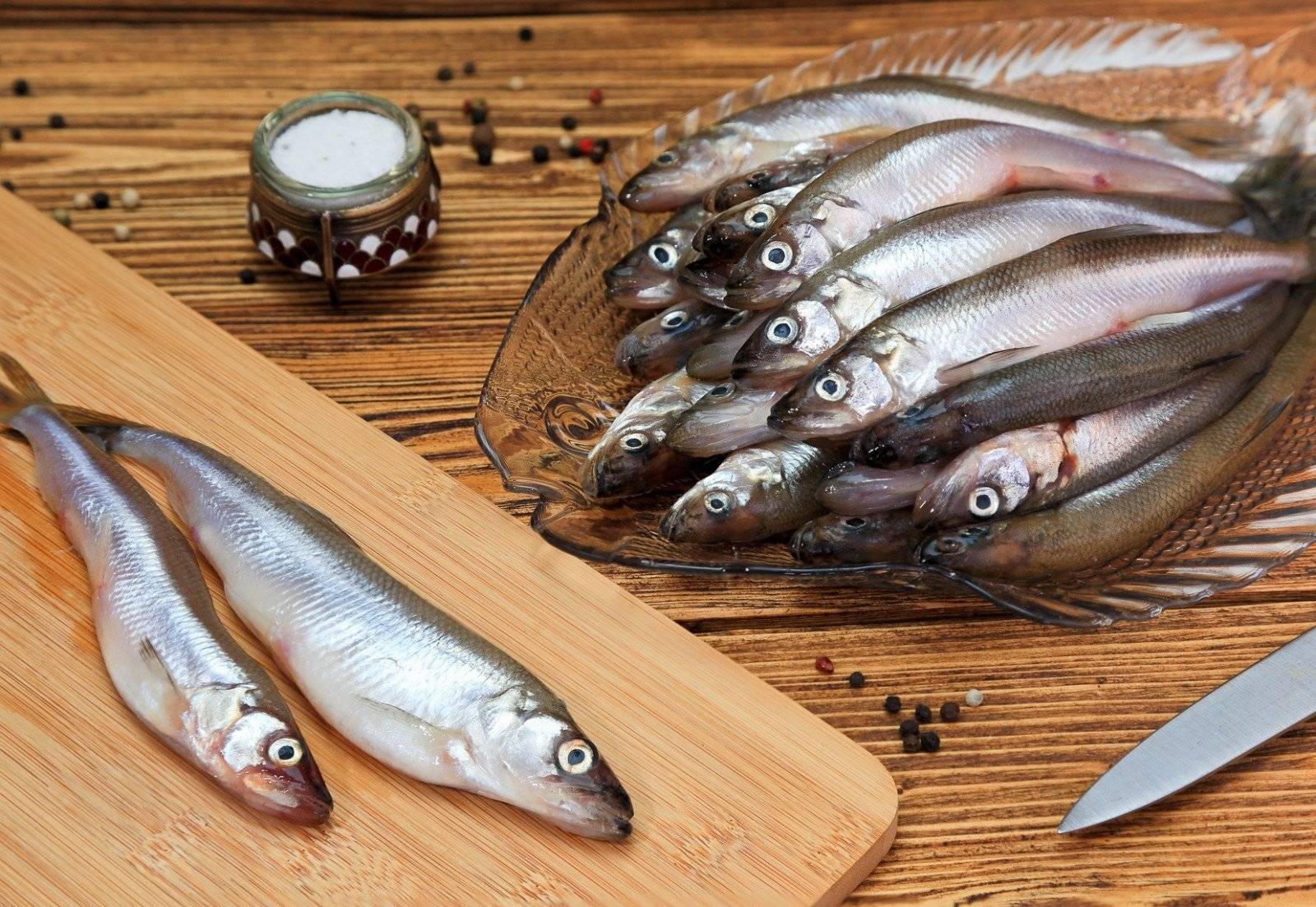 Рыба корюшка: описание, виды, ловля и рецепты