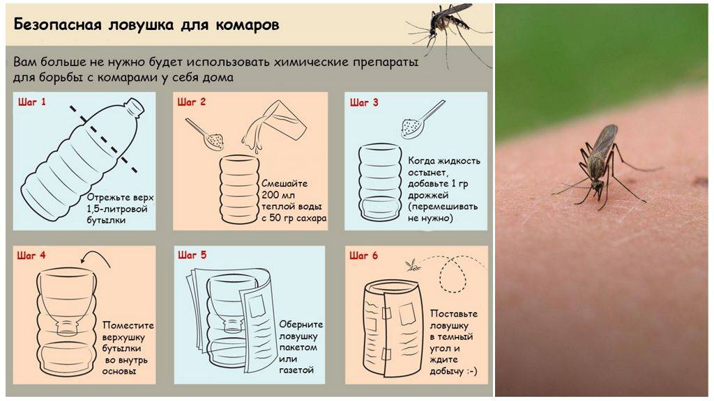 Средства защиты от комаров: топ-7 натуральных средств
