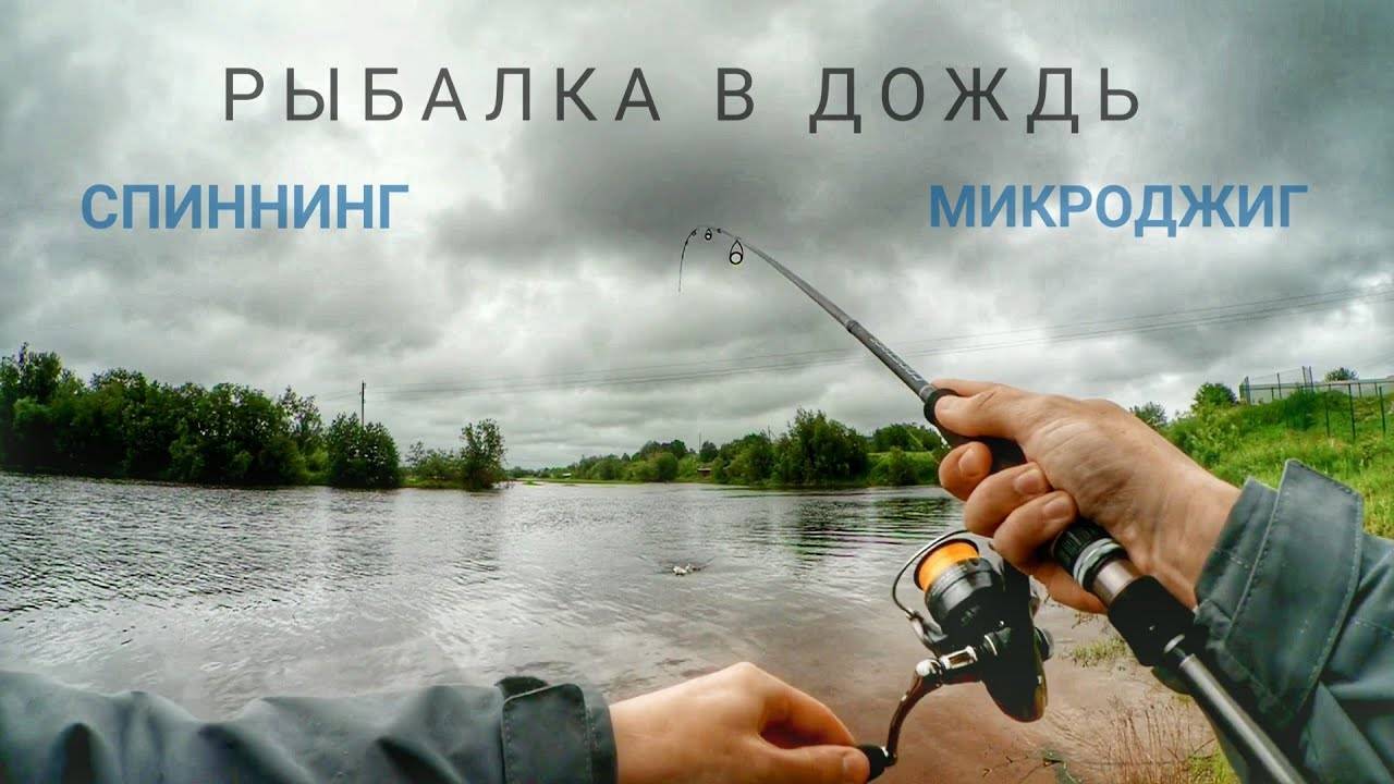 69 фраз и высказываний про рыбалку: короткие цитаты, афоризмы, изречения о рыбалке и ее особенностях