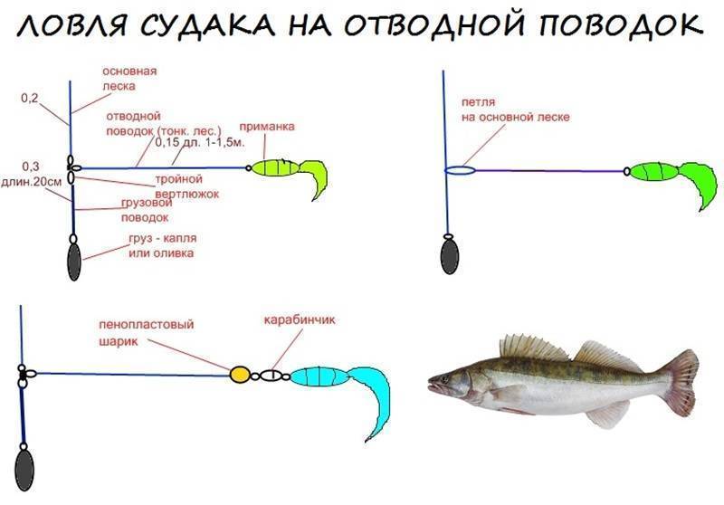 Firstfisher.ru – интернет-журнал о рыбалке и рыболовах.  ловим на отводной поводок