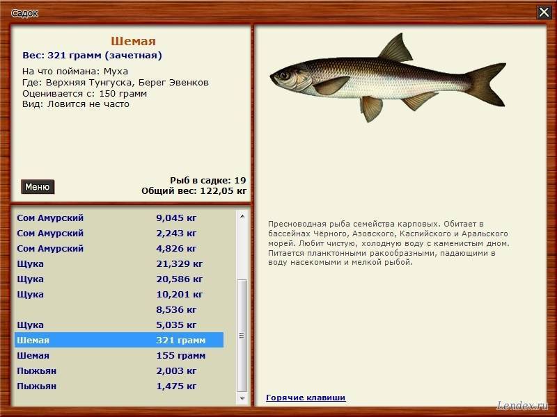 Рыбалка в норвегии.виды — морская рыбалка в норвегии, на рыболовной базе по-русски, подбор снастей для рыбалки в море