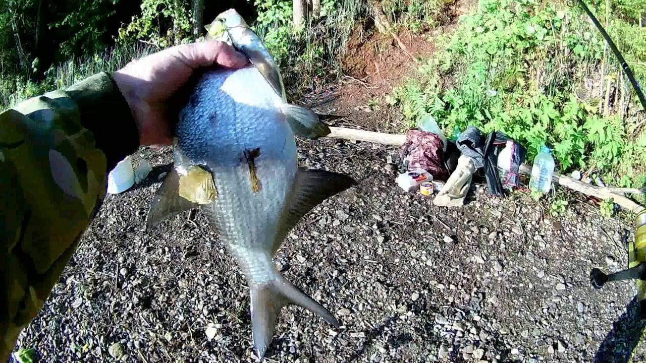 Шарики из пенопласта: рыбалка на пенопласт, секреты