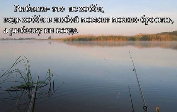Стихи про рыбалку и рыбака  | antrio.ru