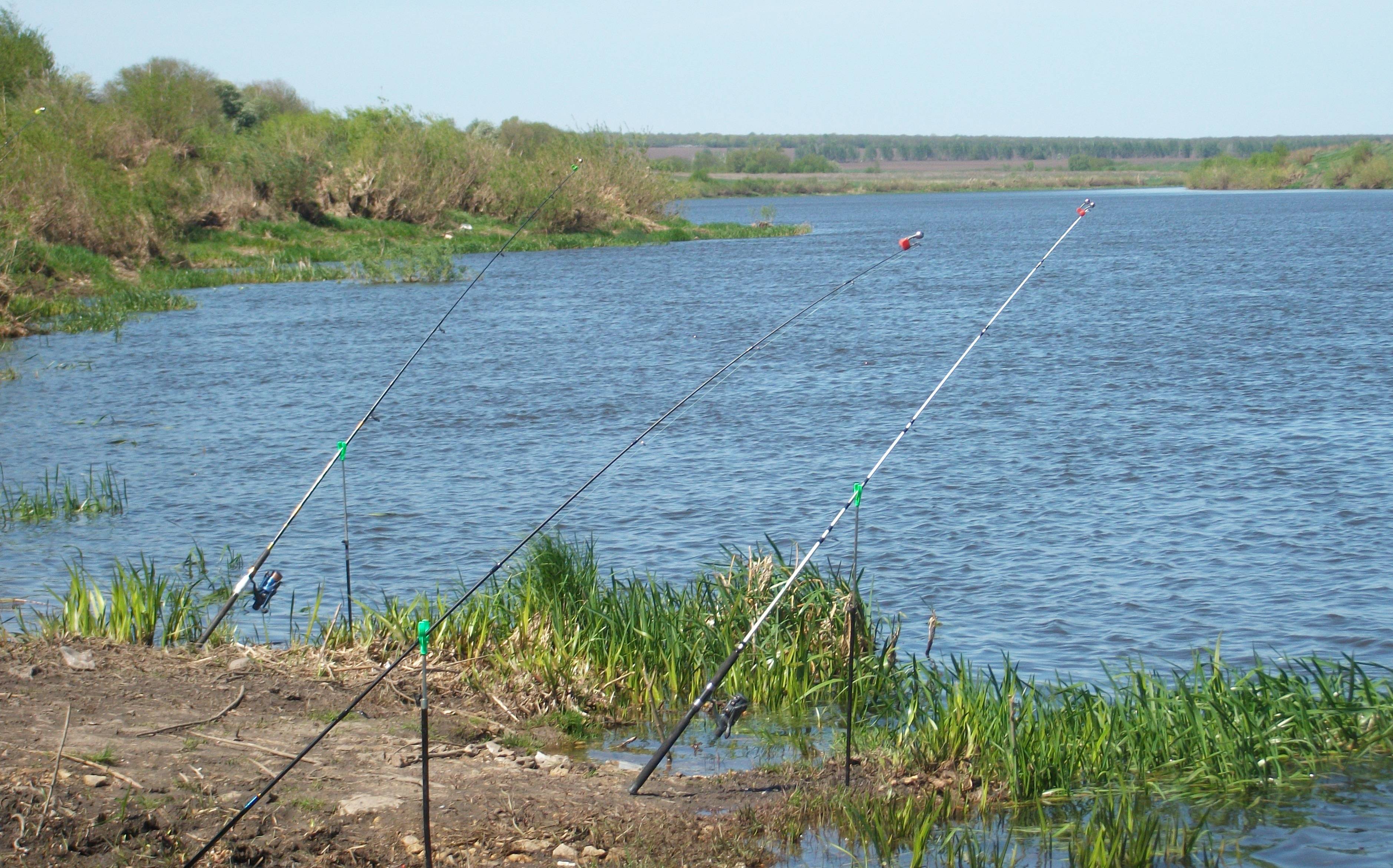 Рыбалка в липецкой области на реках, озерах, платных водоемах