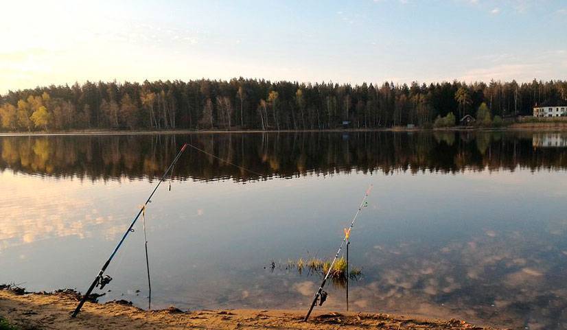 ✅ рыбалка в ивановской области бесплатно - рыбзон.рф