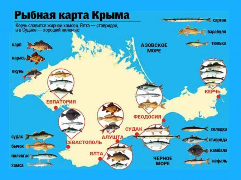 Озеро сиваш в крыму: происхождение, где находится на карте, описание