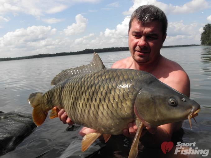 Отчет о рыбалке на толстолобика в Брестской области