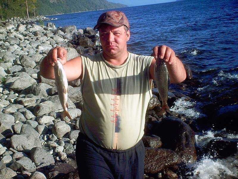 Рыбалка на алтае: особенности ловли в алтайском крае, где лучше клюет рыба