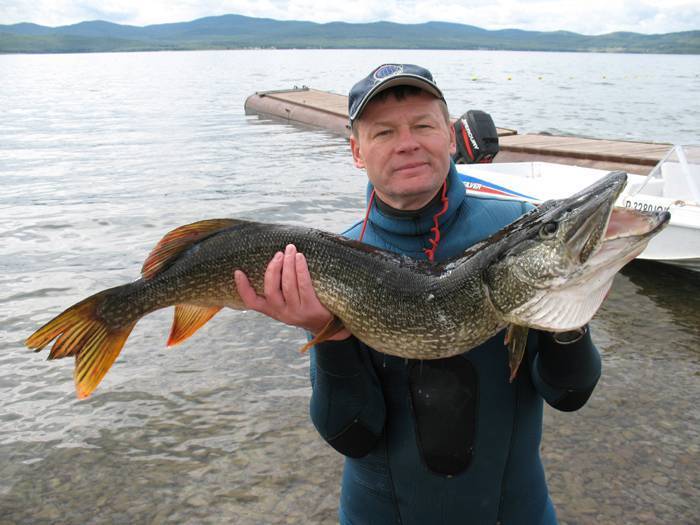 Куда поехать на рыбалку в псковской области и пскове и запрет 2019