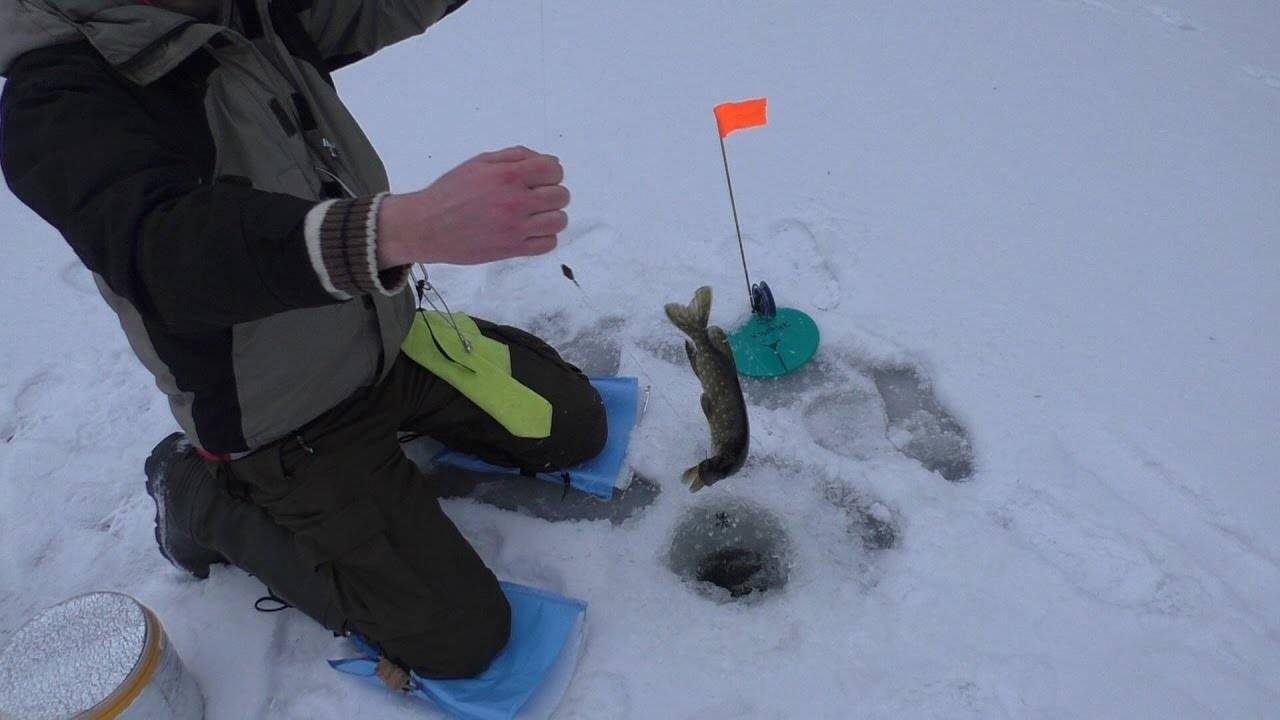 Рыбалка на судака и берша со льда - техника, приманки, снасти