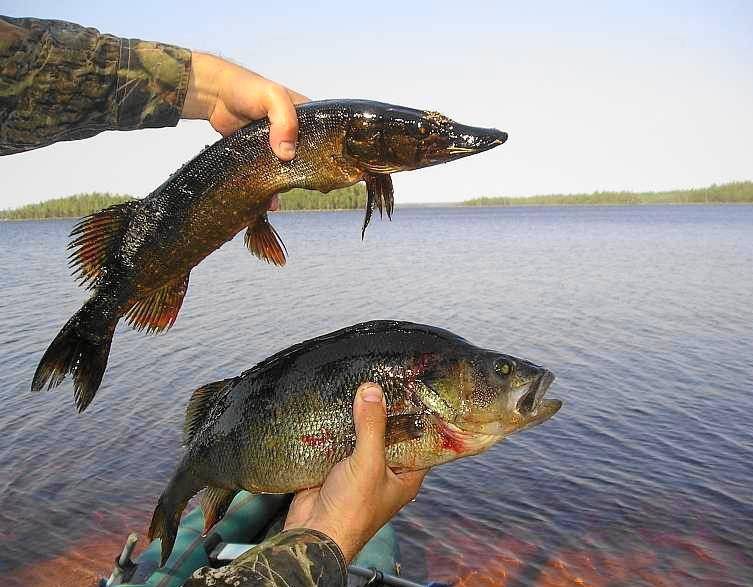 Зимняя рыбалка в тверской области: на реках и озерах, водохранилищах
