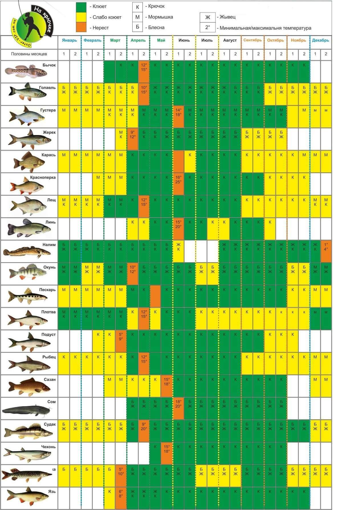 Нерест рыбы: особенности, период, места икрометания