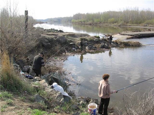 Рыбалка в оренбурге и оренбургской области, особенности ловли в реке урал и местных водохранилищах