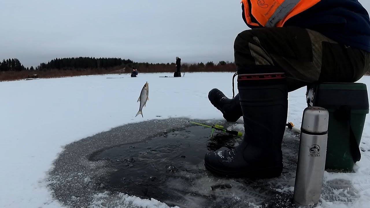 Ловля окуня по первому льду (видео) | 5 минут на лунку