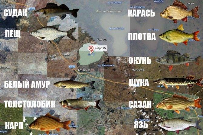 Места для рыбалки в красноярском крае – платная и бесплатная рыбалка!