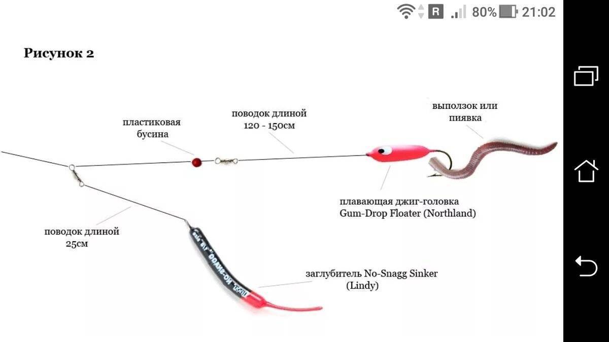 Поговорим о ловле судака спиннингом | на воблеры, джиг и отводной поводок