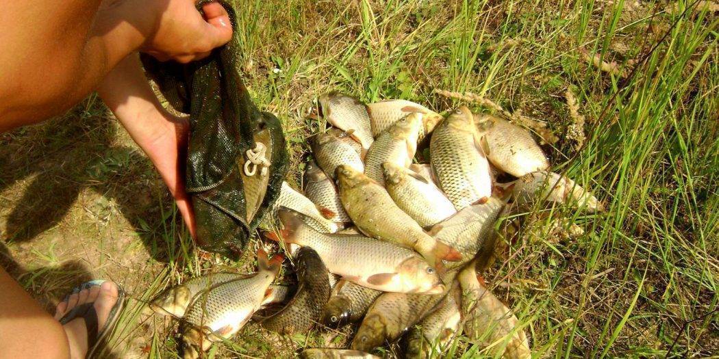 Рыбалка на плещеевом озере: особенности и цены на рыбалку | ribakov.net