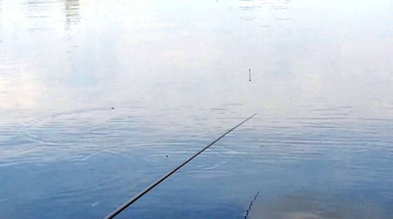 Особенность рыбалки на фидер осенью