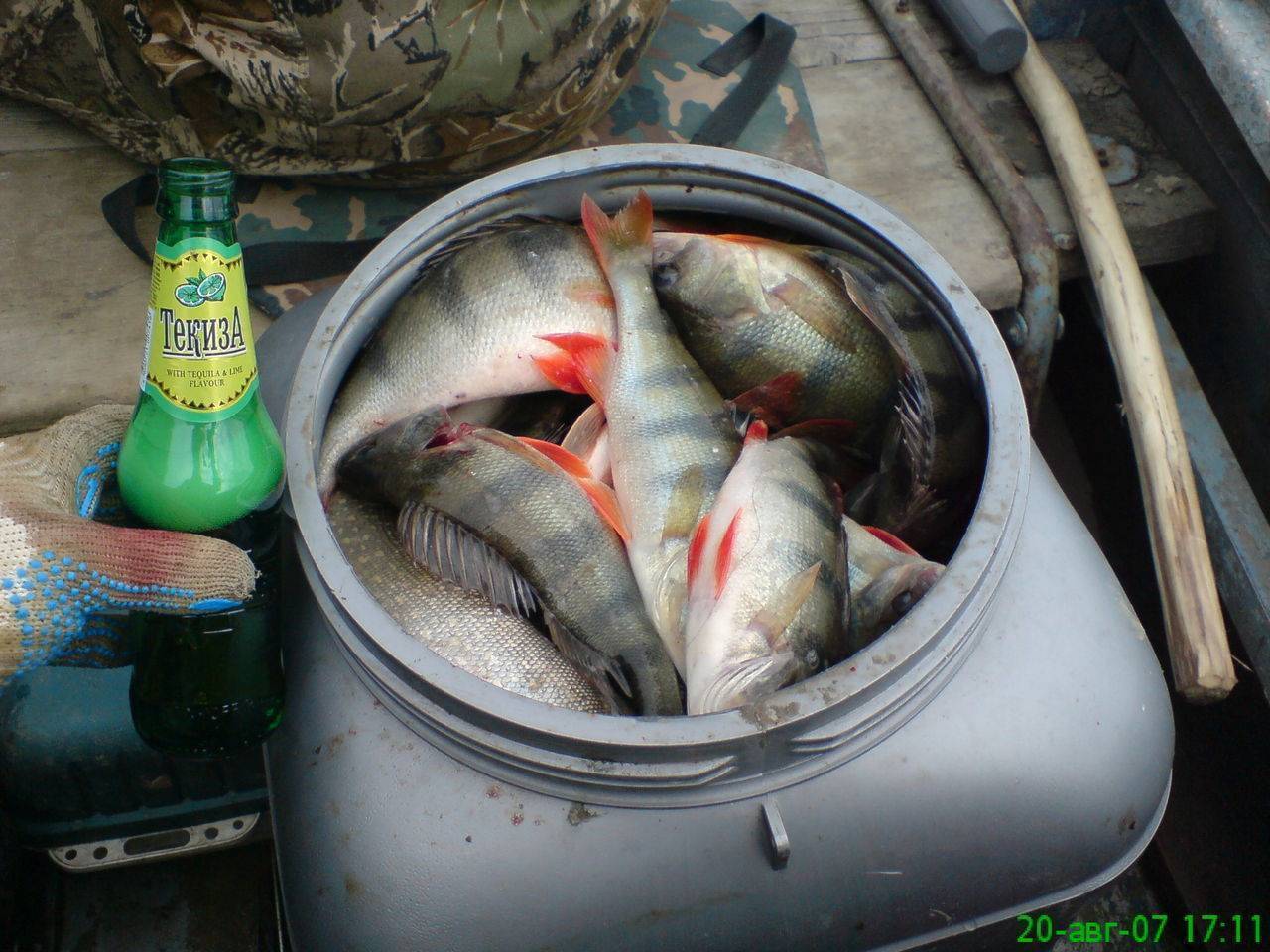 Сколько можно и как хранить свежую рыбу в холодильнике и без него