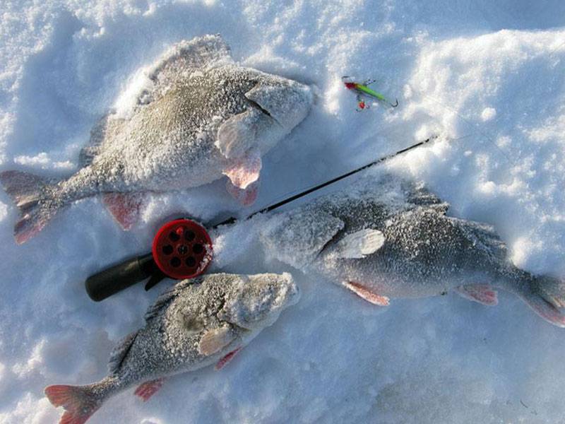 Мормышки для зимней рыбалки