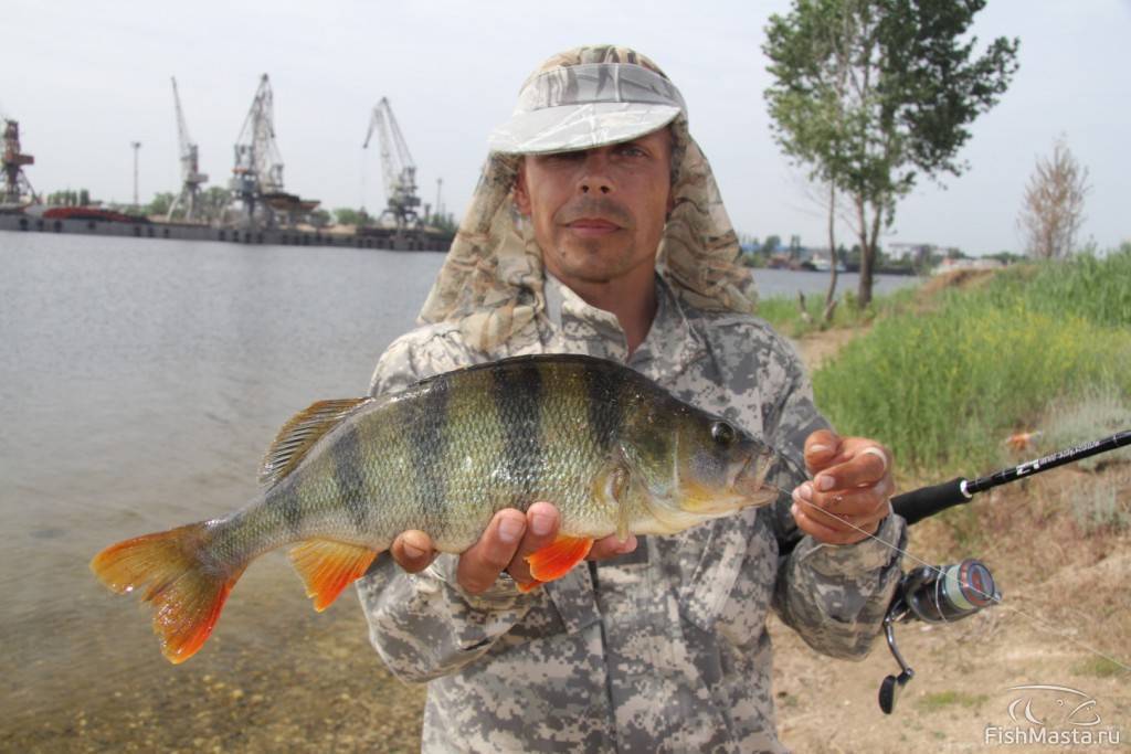 Рыбалка на дону в волгоградской области: видео, места и донская рыба
