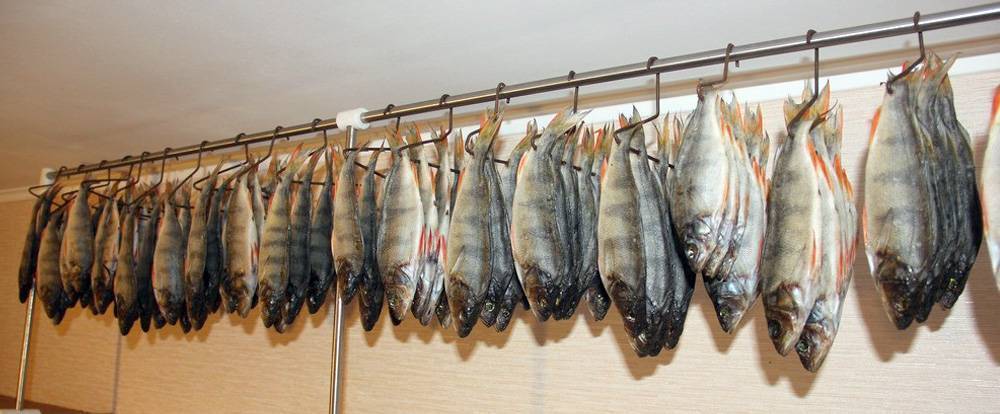 Как хранить сушеную рыбу в домашних условиях