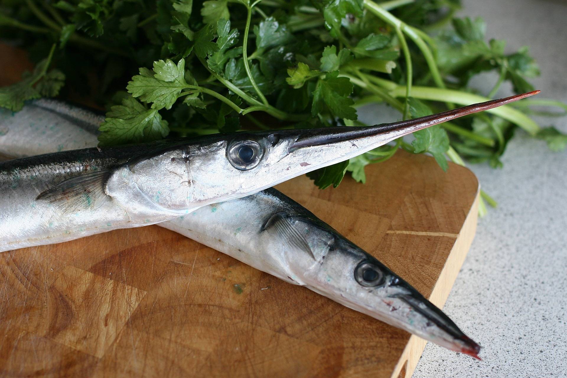Рыба-игла: фото, рецепты приготовления, полезные свойства, где водится (длиннорылая, черноморская)