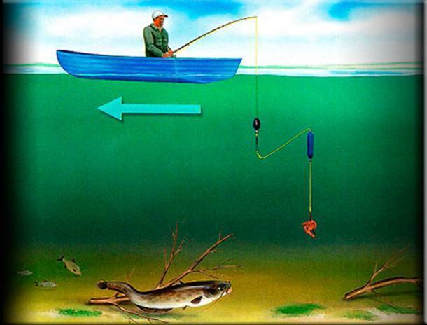 Ловля сома на спиннинг: особенности рыбалки с берега и лодки
