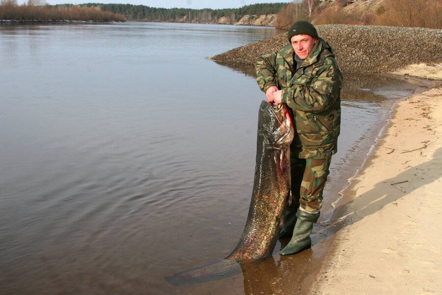 Река кия кемеровской области: карта рыбных мест, особенности рыбалки, какая рыба водится
