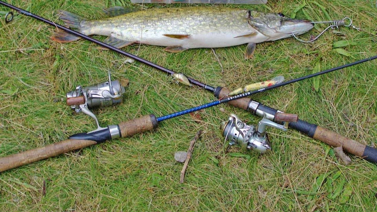 Спиннинг на рыбалку для начинающих: составные части, как собирать, техника ловли и видео