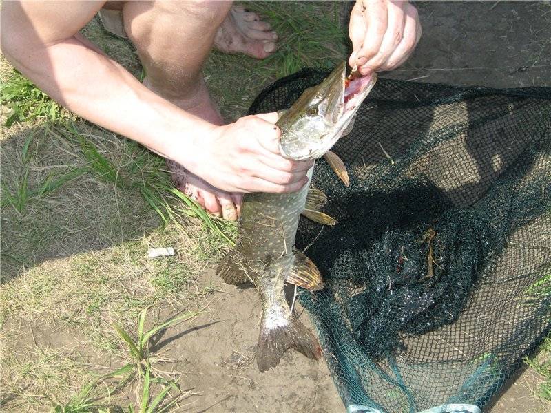 Рыбалка в тольятти
