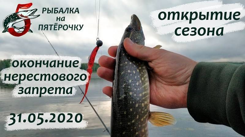 Нерестовый запрет на рыбалку в нсо 2020. полный список ограничений - статьи о рыбалке
