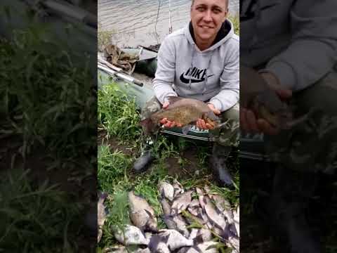 Душевная рыбалка в заливе огур балахтинского района