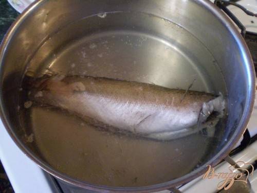 Как варить рыбу – рекомендации и рецепты полезных блюд. сколько времени варить рыбу: пресноводную и морскую