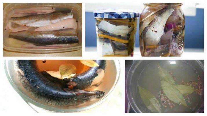 Как хранить соленую красную рыбу в домашних условиях: на длительный срок, сколько хранится