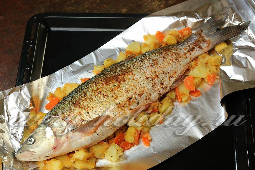Жерех: костлявая рыба или нет, рецепты приготовления, вкусный балык из жереха
