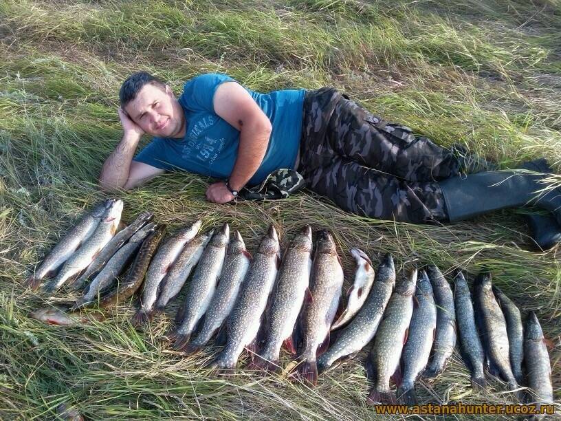 Отчеты о рыбалке в ишим река, тюменская обл. вести с водоема, рыбалка.