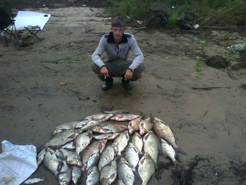 Рыбалка в республике мордовия: лучшие места на карте топ-10
