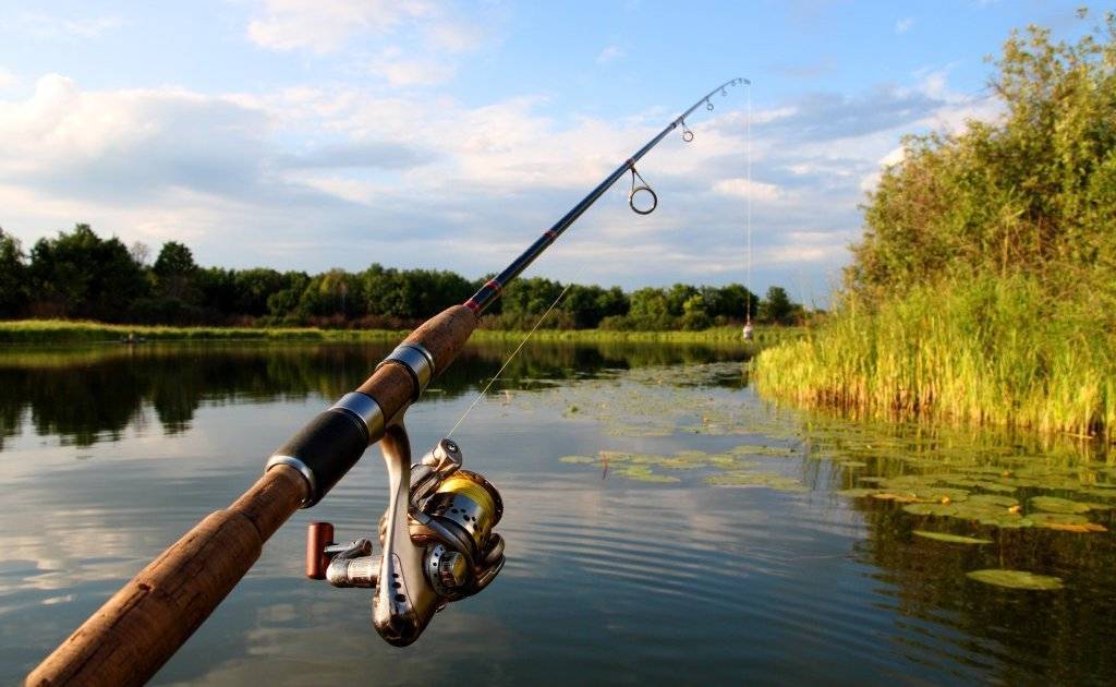 Можно ли во время самоизоляции ходить на рыбалку?