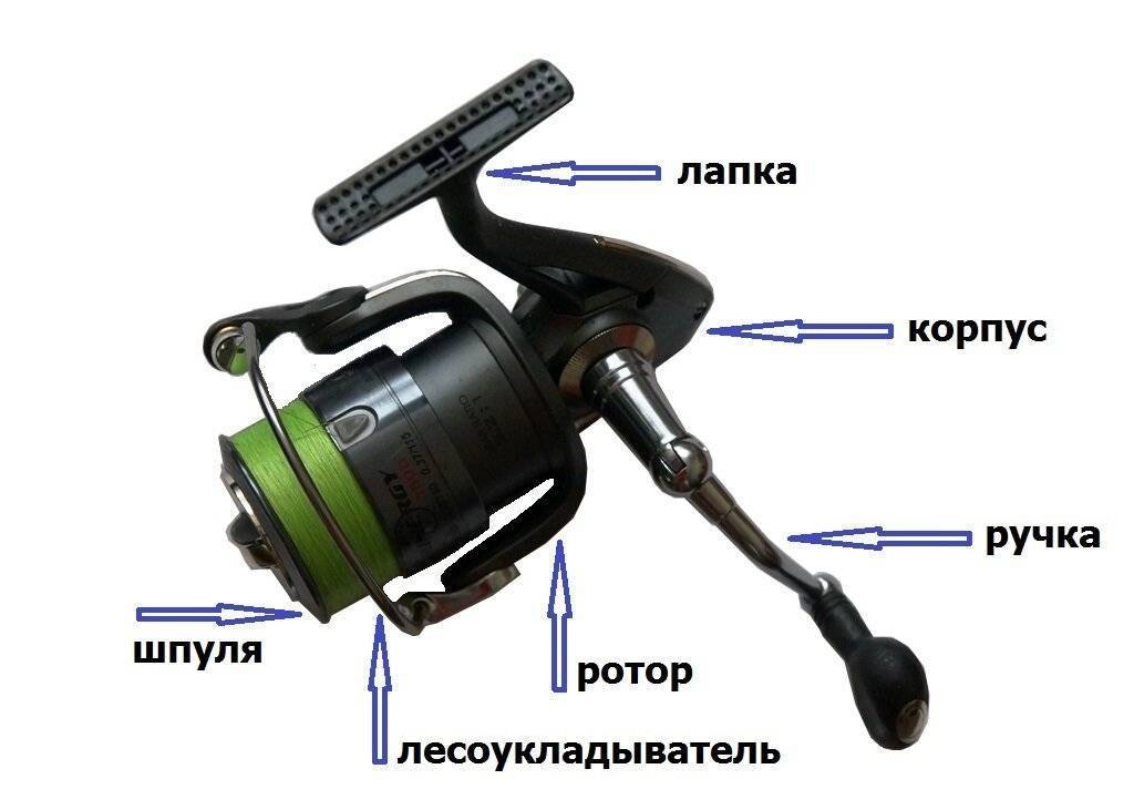 Устройство катушки для спиннинга: инструкция, как устроена безынерционная рыболовная катушка