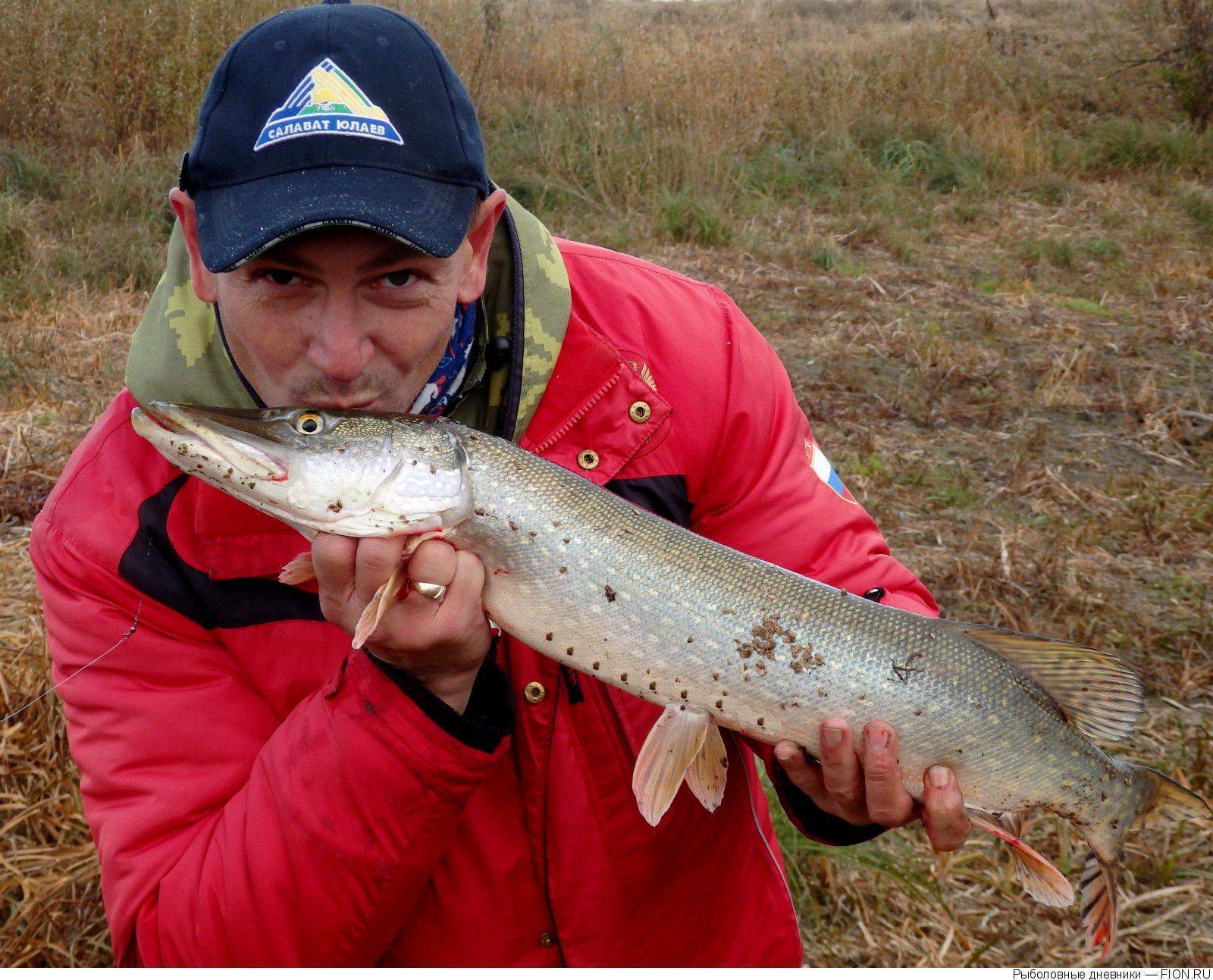 Рыбалка в омске и омской области - лучшие места, отзывы рыбаков