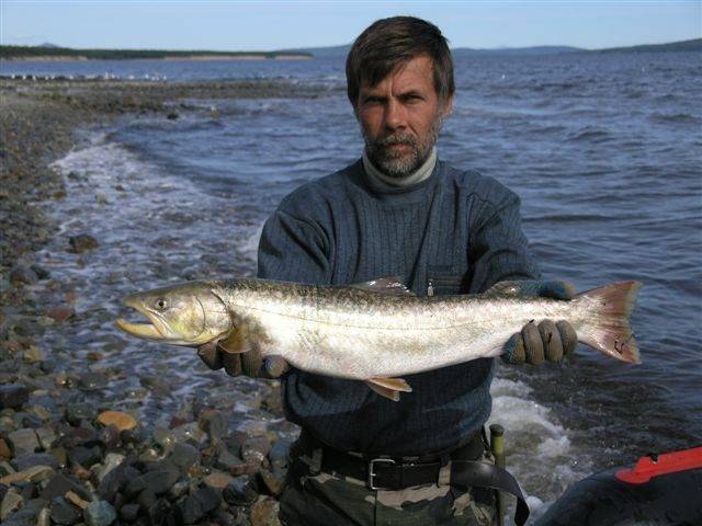Места для рыбалки в калужской области – платная и бесплатная рыбалка!