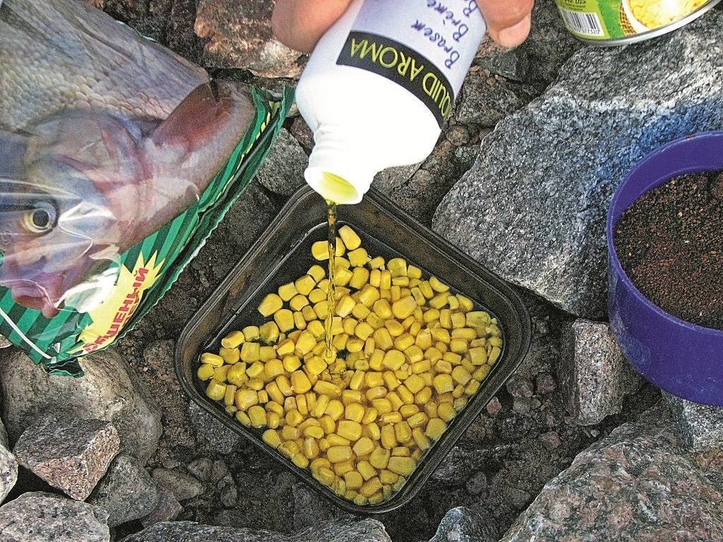 Какую наживку и прикормку использовать при ловле карпа осенью? – рыбалке.нет