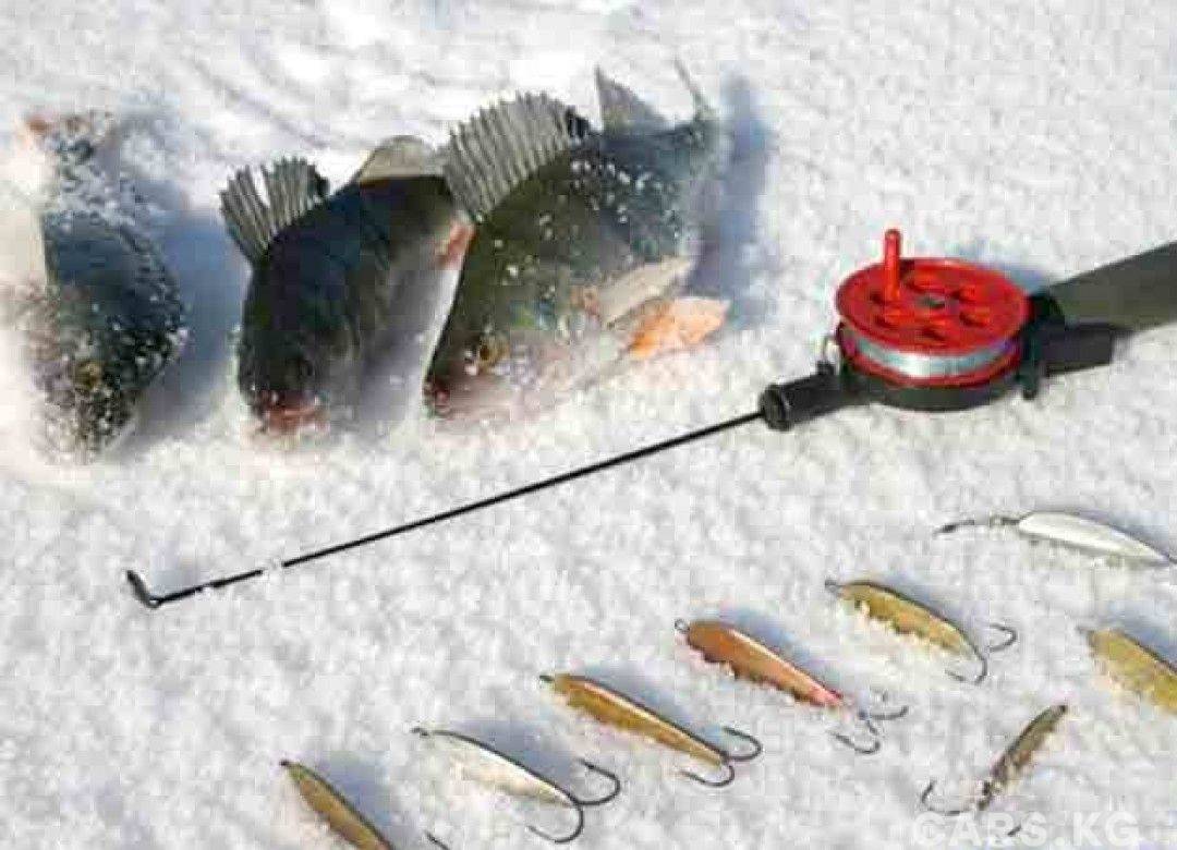 Зимняя рыбалка на балансир, как правильно ловить на балансир