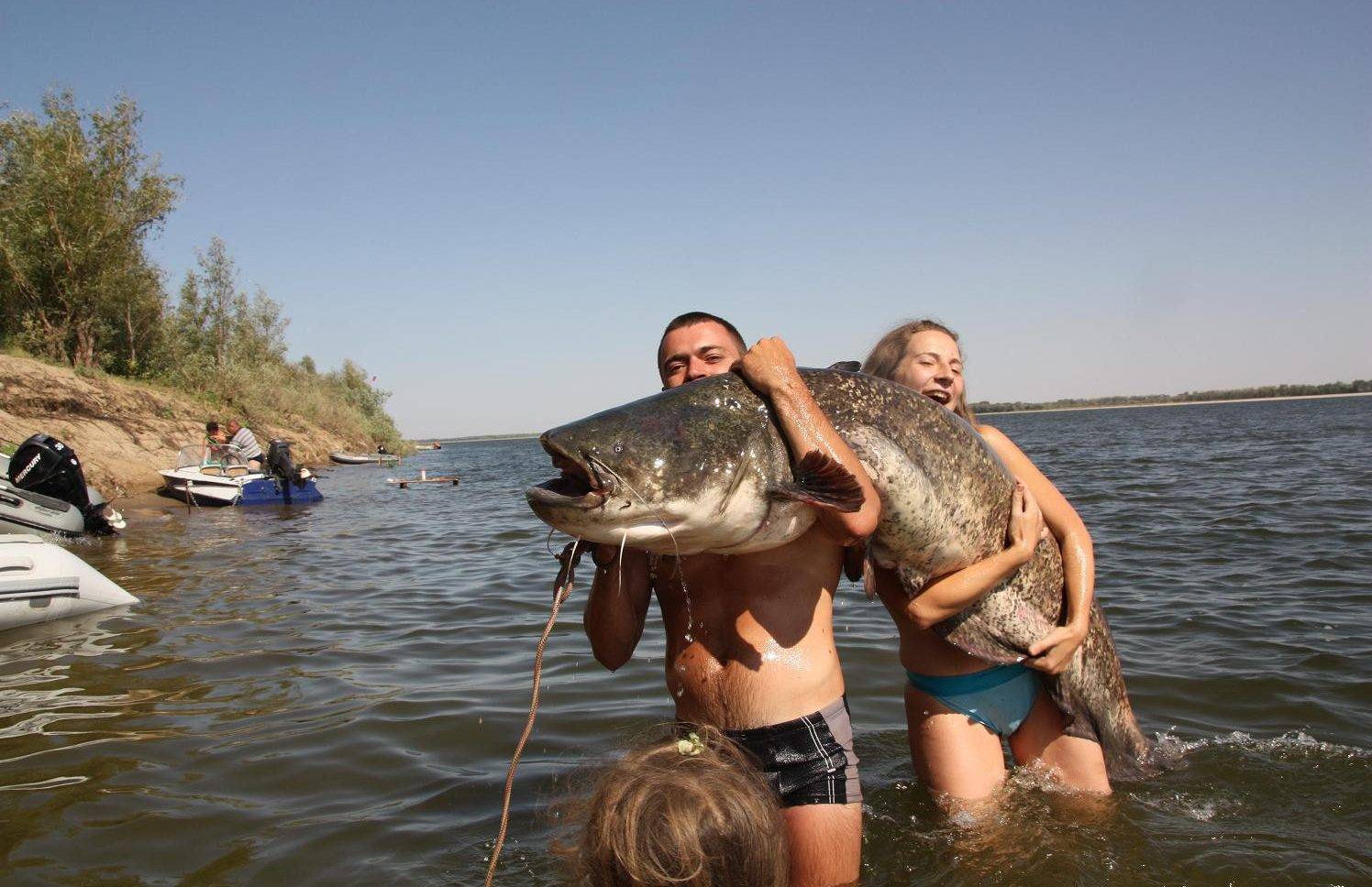 Рыбалка в витебской области. отчеты с водоемов